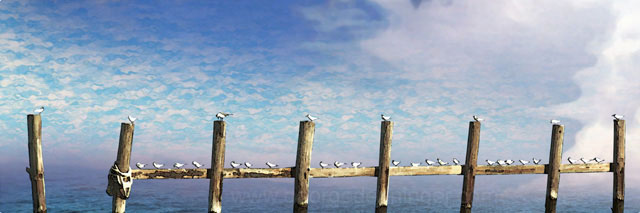 Post Class Instruction