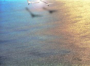 Wet Sand - Original Art by GeorgeDenninger.com